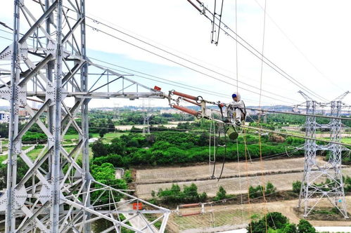 當泉州的夏天與這些電網高科技相遇